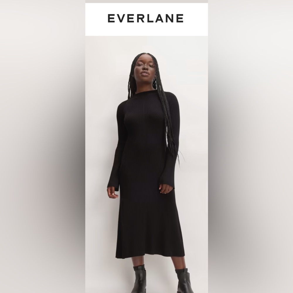 NWT- Everlane Mock Neck Mini Dress